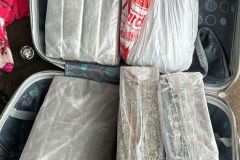 IMG-20241012-WA0003