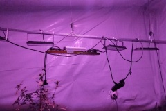 IMG_20260424_111209