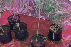 IMG_20260424_111303