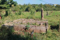 IMG_20260424_111832