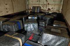 IMG-20260820-WA0351