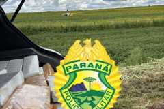 IMG-20260125-WA0179