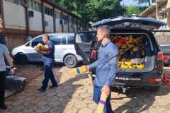 IMG-20260415-WA0043