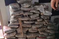 IMG-20250805-WA0105