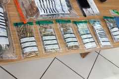 IMG-20250606-WA0418