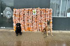 IMG-20250311-WA0277