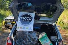 IMG-20250625-WA0354