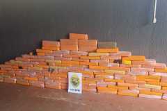 IMG-20251115-WA0221