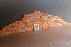 IMG-20251115-WA0225