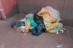 IMG-0004