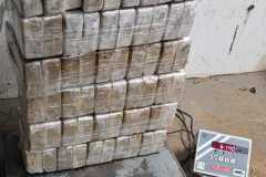 IMG-20251108-WA0041