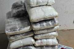 IMG-20251108-WA0042