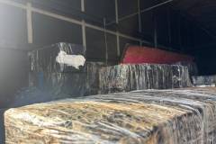 IMG-20260818-WA0318