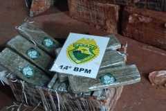 IMG-20250620-WA0310