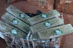IMG-20250620-WA0312