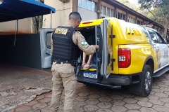 IMG_20250817_172542