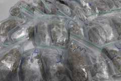 IMG-20250626-WA0611