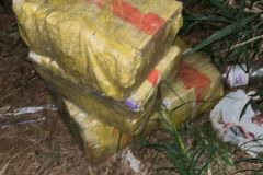 IMG-20250403-WA0311