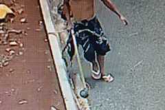 IMG-20260210-WA0000