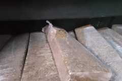 IMG-20250304-WA0119