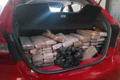 IMG-20250304-WA0122