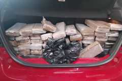 IMG-20250304-WA0125