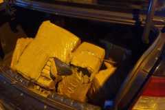 IMG-20260819-WA0028