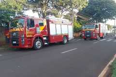 IMG-20260212-WA0113