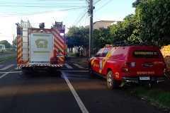 IMG-20260212-WA0114