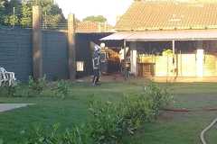 IMG-20260212-WA0116