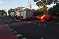 IMG-20260212-WA0119