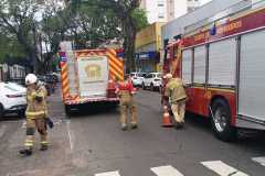 IMG-20251008-WA0029