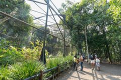 refugio-biologico-e-ecomuseu-de-itaipu-reabrem-10-900x600