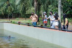 refugio-biologico-e-ecomuseu-de-itaipu-reabrem-8-900x600