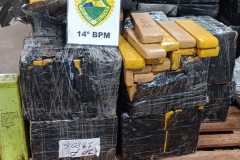 IMG-20250905-WA0081