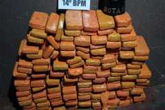 IMG-20240423-WA0178
