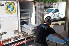 IMG-20241205-WA0396