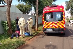 IMG_20250827_144629