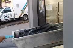 IMG-20250718-WA0162