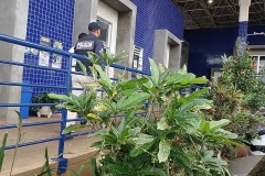 IMG_20251003_130108