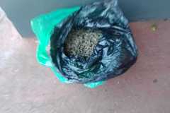IMG-20250710-WA0172