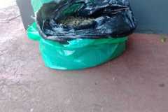 IMG-20250710-WA0173