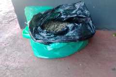 IMG-20250710-WA0174