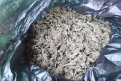 IMG-20250710-WA0175