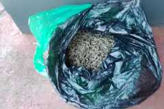 IMG-20250710-WA0176