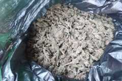 IMG-20250710-WA0177