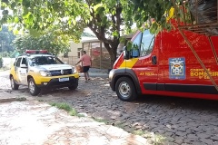 IMG_20240512_125002