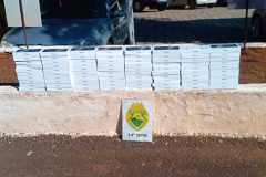 IMG-20250719-WA0320