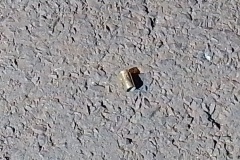 IMG_20250422_194103