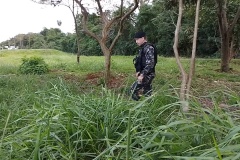 IMG_20250625_165100